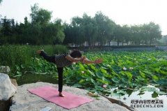 <b>杏鑫网址艺人唐林的瑜珈分享</b>
