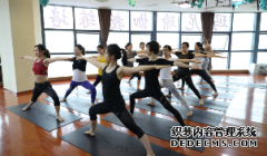 <b>杏鑫注册网站瑜伽教练证书怎么考？</b>