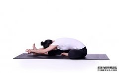 杏鑫注册网站为什么要练脊柱理疗瑜伽？
