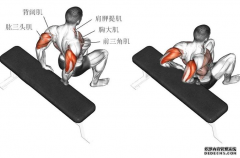 三头肌锻炼方法有哪些